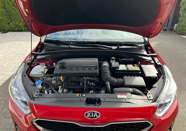 Kia Pro_cee'd cena 88900 przebieg: 125000, rok produkcji 2020 z Sierpc małe 497